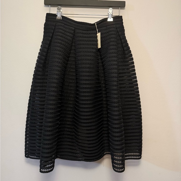 Elegant Black Full Skirt